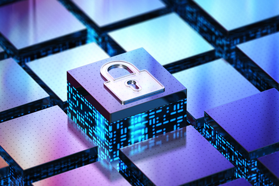 Black Box Operational Model